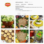 Del Monte Fresh's Instagram has a cohesive layout